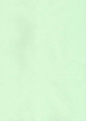Chloe Bottoms - Mint Green